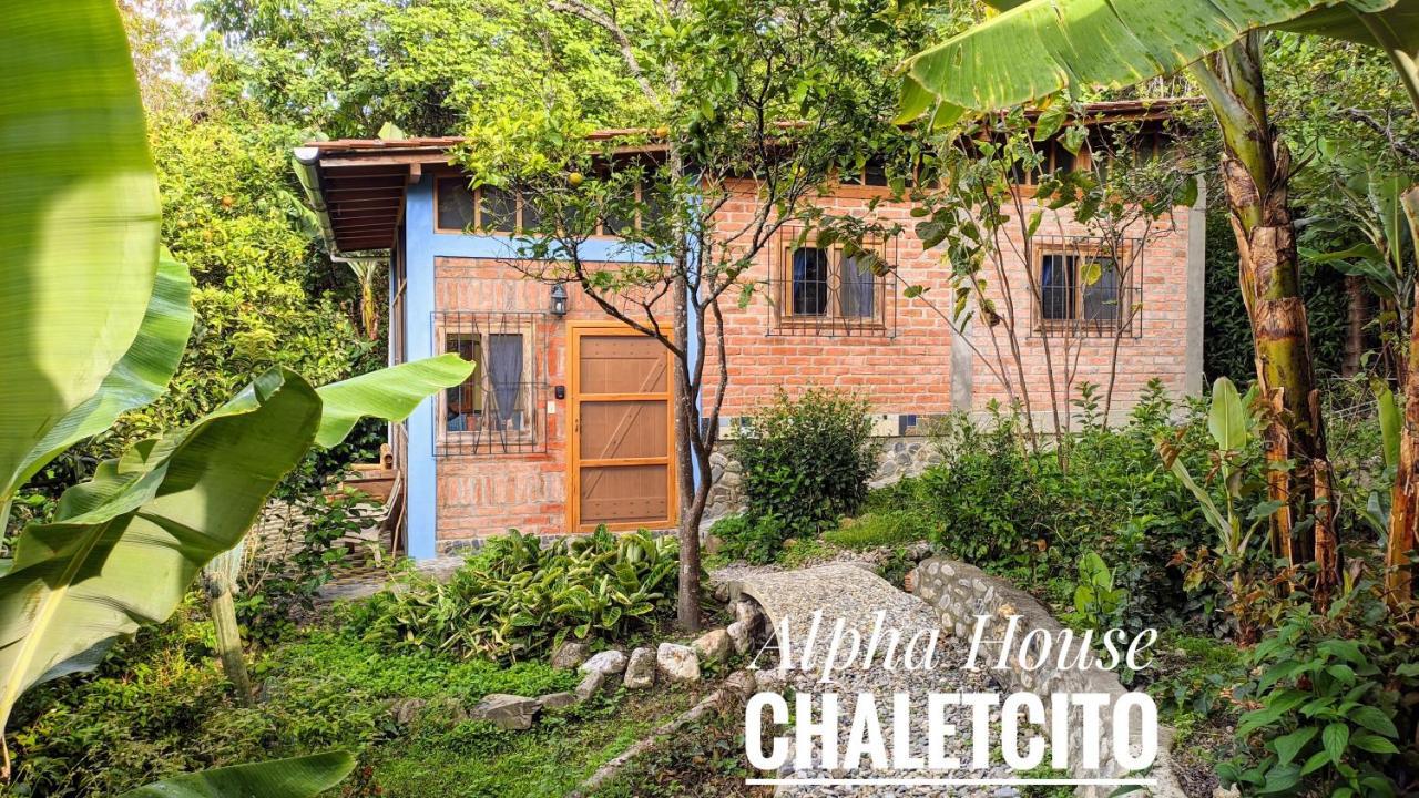 Alpha House Apartment Vilcabamba Bagian luar foto