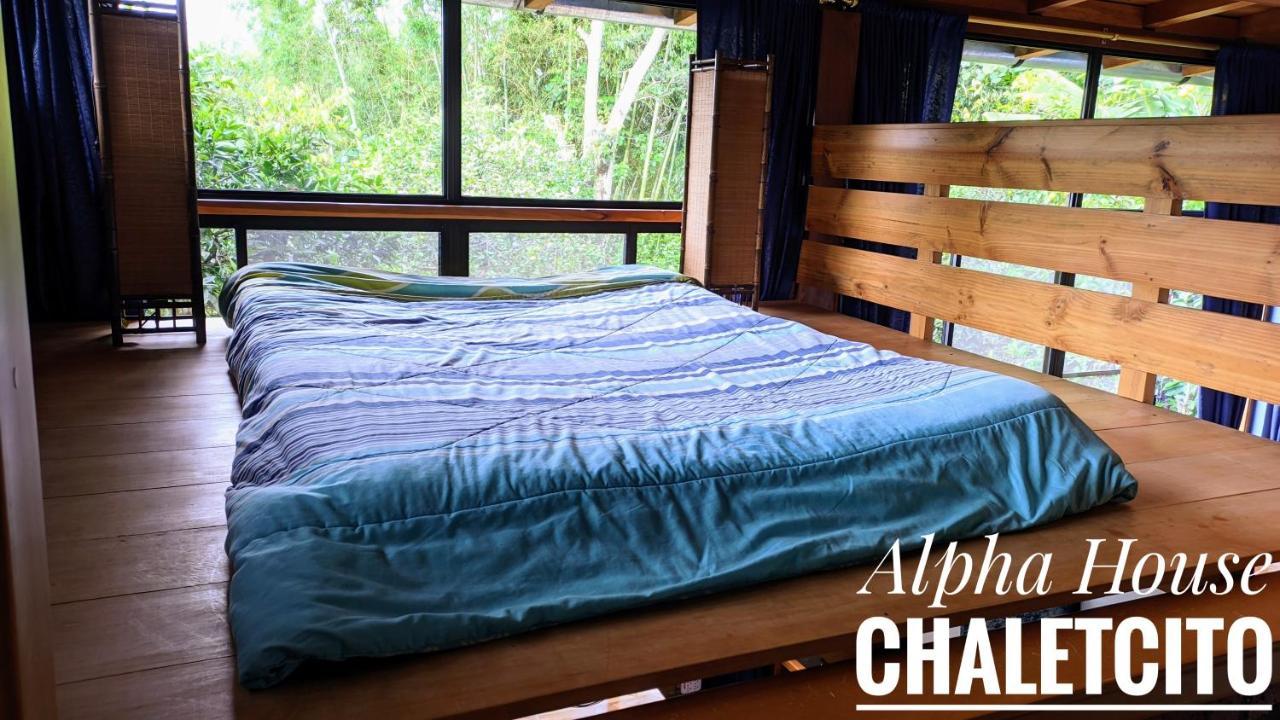 Alpha House Apartment Vilcabamba Bagian luar foto